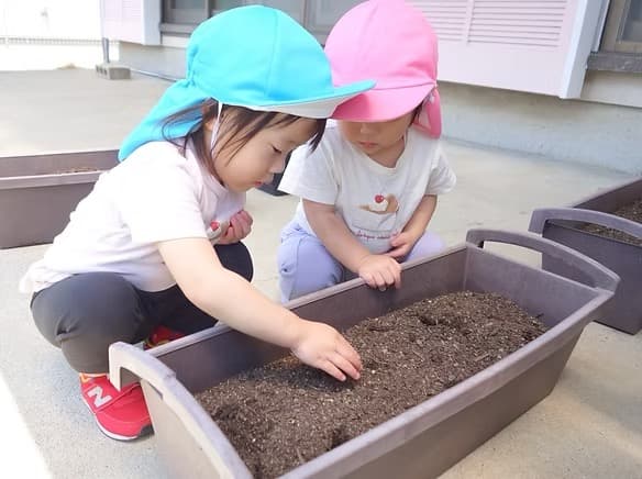 花育活動