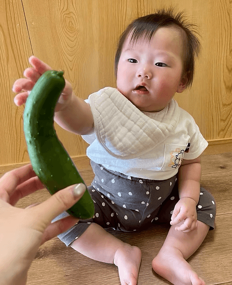 食育活動