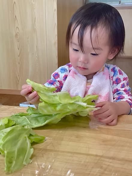 食育活動の様子2